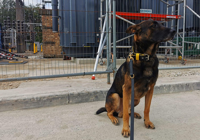 Specialist Security Solutions by Prime Guard UK
